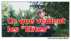 ce que veulent les élites