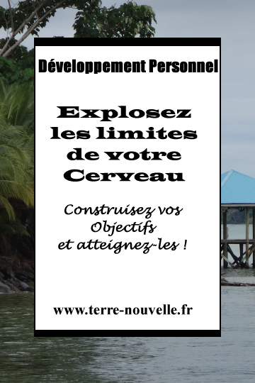 Et si on utilisait plus que 10 à 20% de notre cerveau ? Solutions ! Explosez les limites de votre cerveau : Construisez vos Objectifs et atteignez-les !