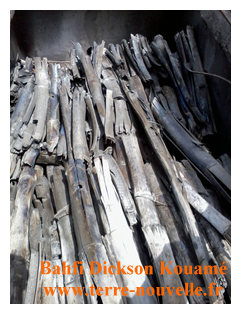 Fabrication de charbon de bambou par Bahfi Dickson Kouamé, en Cote dIvoire Comment fabriquer du charbon de bambou charbon de bambou propre