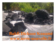 Fabrication de charbon de bambou par Bahfi Dickson Kouamé, en Cote dIvoire Comment fabriquer du charbon de bambou Charbon de bois exposé à la pluie