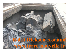 Fabrication de charbon de bambou par Bahfi Dickson Kouamé, en Cote dIvoire Comment fabriquer du charbon de bambou charbon de bois propre