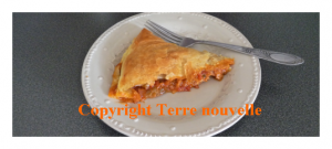 chausson-enpanadilla-aubergine-thon-fromage Chausson enpanadilla aubergine, thon, fromage