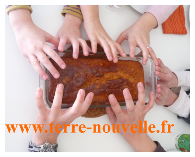 Détox Clean : après notre programme Clean, réintroduction des aliments interdits Programme détox Clean, réintroduction des aliments interdits. Un gâteau, avec oeufs, farine de blé, sucre et lait, un exemple de composition d'aliments interdits