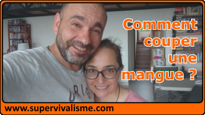 Comment couper une mangue : en pratique ! Comment découper une mangue (en pratique et sans faire un massacre)...