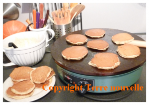 comment-faire-des-crepes-sans-tefal-sans-teflon Comment faire des crêpes sans Tefal, sans téflon : crêpière Krampouz