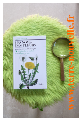 Comment reconnaitre les plantes : la clé de détermination Comment reconnaitre les plantes : la clé de détermination botanique de Gaston Bonnier.