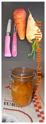 conserve-de-carottes-en-rondelles Comment faire des conserves de carottes en rondelles