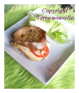 croque-monsieur-maison Croque-Monsieur maison