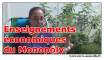 Les enseignements économiques du MONOPOLY enseignements économiques du monopoly