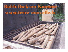 Fabrication de charbon de bambou par Bahfi Dickson Kouamé, en Cote dIvoire Comment fabriquer du charbon de bambou four chargé en bambou