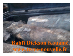 Fabrication de charbon de bambou par Bahfi Dickson Kouamé, en Cote dIvoire Comment fabriquer du charbon de bambou four chargé de colatier