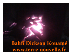 Fabrication de charbon de bambou par Bahfi Dickson Kouamé, en Cote dIvoire Comment fabriquer du charbon de bambou four en activité la nuit