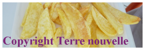 frites-maison Frites maison : faire de bonnes frites maison