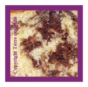 gateau-façon-brossard-façon-savane-maison gâteau marbré façon savane Brossard maison