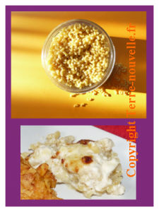 gratin-de-coquillettes Gratin de coquillettes