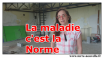 La maladie, cest la norme... la maladie c'est la norme