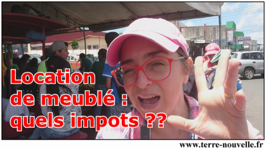 Diversification de vos revenus avec limmobilier : quels impôts et cotisations sociales pour la location de meublé meublé tourisme, air b&b, chambre d'hotes, quels impôts, quelles cotisations sociales ?