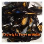 Moules marinières
