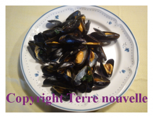 moules-marinières Moules marinières
