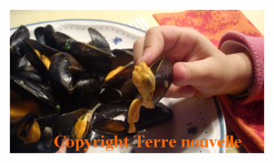 moules-oignon-citron-persillade Moules oignon, citron et persillade