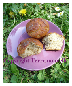 muffins-amande-graines-pavot Muffins amande et graines de pavot