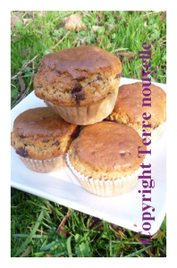 muffins-beurre-de-cacahute-chocolat Muffins au beurre de cacahuète et pépites de chocolat