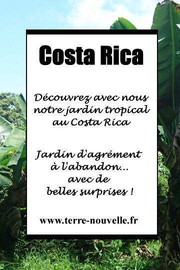 Notre jardin tropical au Costa Rica Découvrons ensemble notre jardin tropical au Costa Rica !