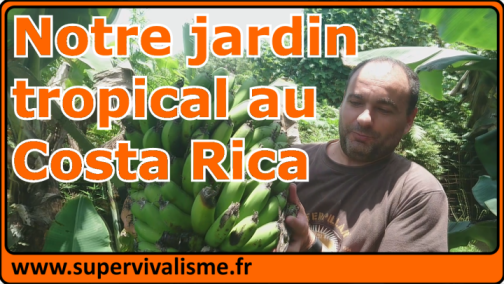 On découvre ensemble notre jardin tropical au Costa Rica : un peu à l'abandon mais prometteur !...