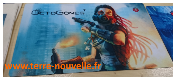 Octogônes : salon de limaginaire post apocalyptique à Lyon Salon Octogônes à Lyon : convention du jeu et de l'imaginaire, thème 2016 : l'imaginaire post-apocalyptique, l'imaginaire post-effondrement