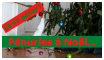 Pénuries à Noël... ça va pêter ! <a href="https://www.terre-nouvelle.fr/wp-content/uploads/penuries-a-noel.png"><img src="https://www.terre-nouvelle.fr/wp-content/uploads/penuries-a-noel-300x169.png" alt="Pénuries à Noël... ça va péter !" width="300" height="169" class="size-medium wp-image-19726" /></a> Pénuries à Noël... ça va péter !