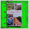 Comment faire un potager surélevé Le potager surélevé
