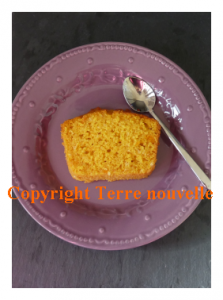 potimarron-cake-sucre Potimarron : cake sucré