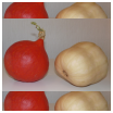 potimarron-courge-butternut-du-jardin Potimarron et courge butternut du jardin
