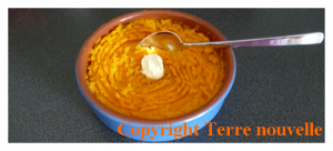 potimarron-puree Potimarron : purée de potimarron