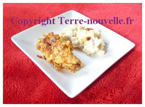 poulet-kentucky-fried-chicken-facon-kfc-recette Croquettes de poulet façon Kentucky Fried Chicken KFC allégées