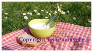 rillette-de-thon-au-fromage-frais Rillette de thon au fromage frais