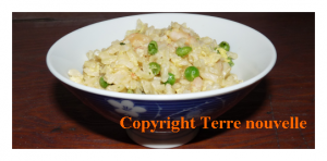 riz-cantonnais Riz cantonnais sans jambon aux mini crevettes