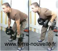 exercices aux haltères pour le dos 