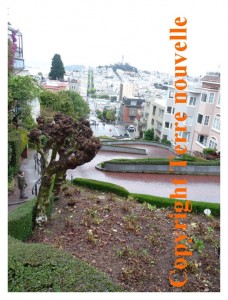 san-francisco-lombard-street Lombard Street, pittoresque, à San Francisco