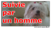 Suivie par un homme : harcèlement de rue harcèlement de rue : elle est suivie par un homme