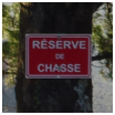 survivalisme chasseur ou pas chasseur Survivalisme familial : chasseur ou pas chasseur