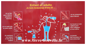 survivalisme-familial-que-faire-en-cas-de-canicule-enfanst-adultes Survivalisme familial : que faire en cas de canicule, pour les enfants et les adultes