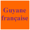 survivalisme guyane française survivaliste Guyane française : terre de refuge pour survivaliste et résilient ?