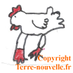 survivalisme poule et poulailler2 Survivalisme familial : bientôt un poulailler et des poules