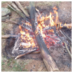 survivalisme stage de survie stage de bushcraft Survivalisme : Stage de survie, stage de bushcraft