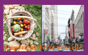 survivalisme-vivre-en-ville-ou-en-campagne Survivalisme : vivre en campagne ou en ville?