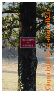 survivaliste-chasseur-ou-pas-chasseur Survivaliste : chasseur ou pas chasseur