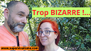 Trop bizarre : ( trop BIZARRE !...
