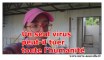Un seul virus peut-il tuer toute l'humanité ?