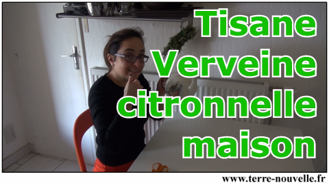 Du potager à la théière, la tisane verveine-citronnelle maison : un délice !!! Comment faire : ultra simple, en vidéo